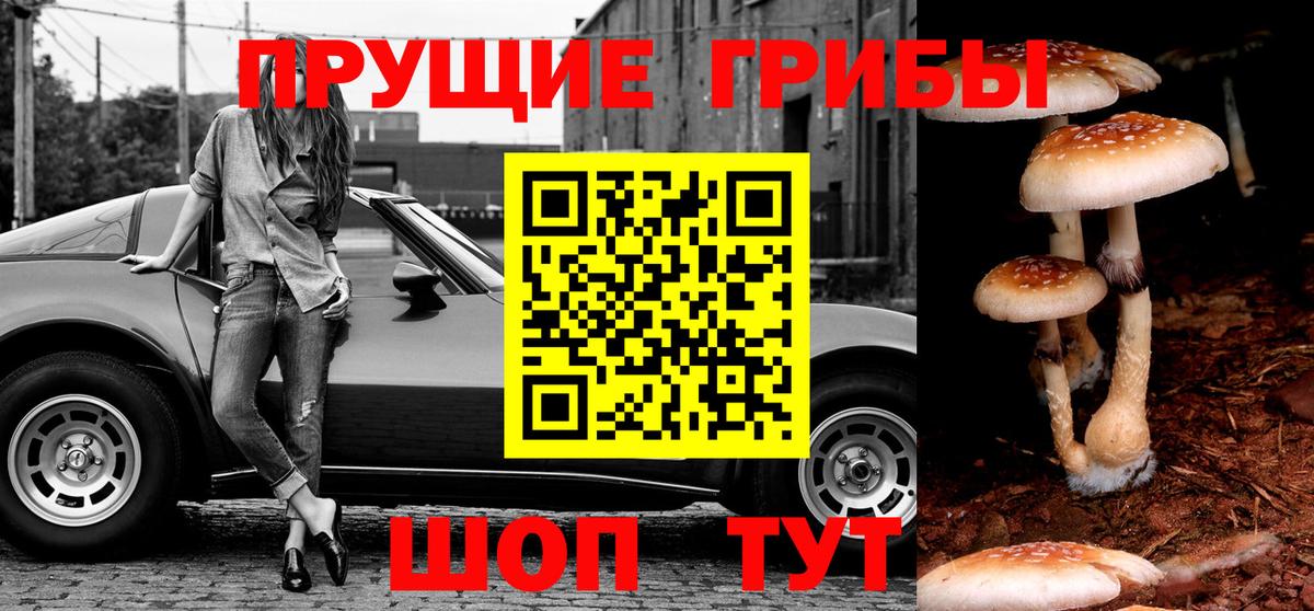 Бирск  Галлюциногенные грибы Psilocybe  как найти наркотики  Галлюциногенные грибы ЛСД  Вход с VPN 