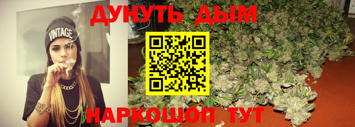 Канабис White Widow  Вход с VPN  Бошки марихуана план  МАРИХУАНА гибрид  Бирск 